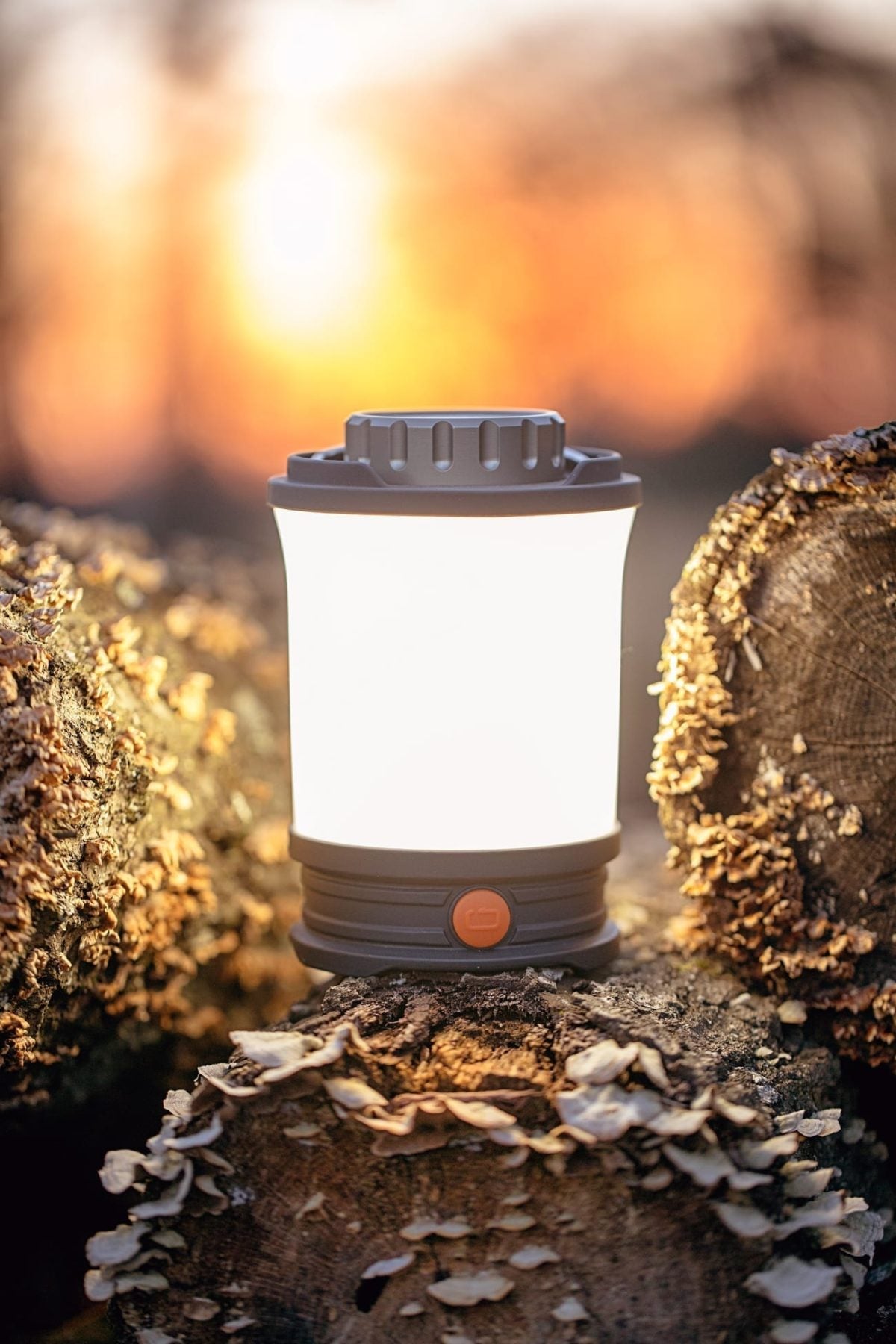 Lámpara LED Fenix CL30R 650 Lúmenes - Recargable USB, Power Bank, 3 Baterías 18650 Incluidas, Para Acampada