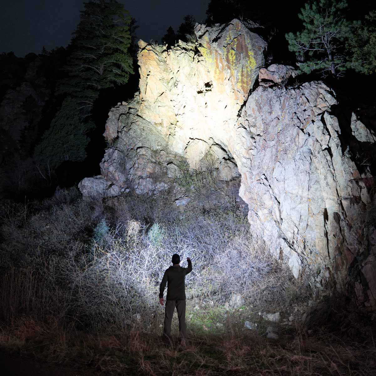 Fenix LD31 RENEGADE Flashlight - Fenix Lighting