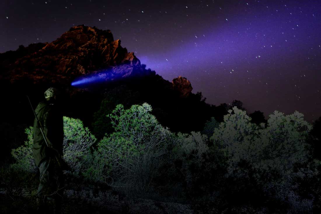 fenix tk20 rechargeable flashlight beam