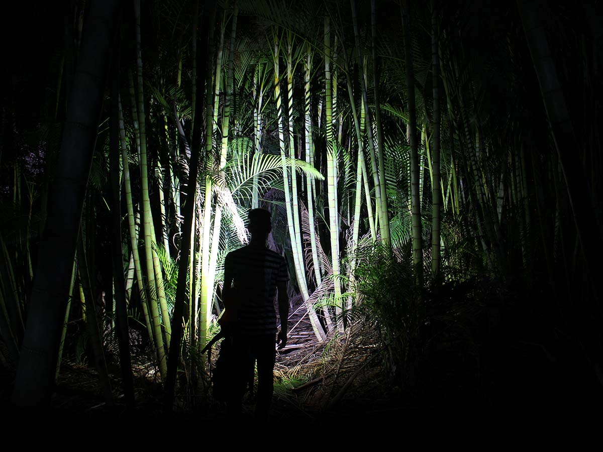 fenix hl40r focusable rechargeable headlamp beam